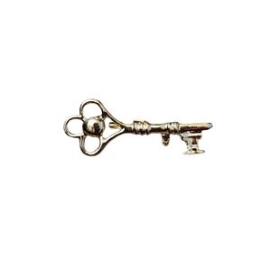 Key Pin